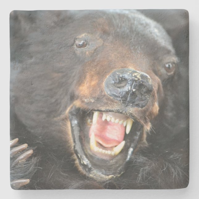 Porta-copo De Pedra Urso Assustador (Frente)