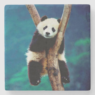 Porta-copo De Pedra Urso Panda