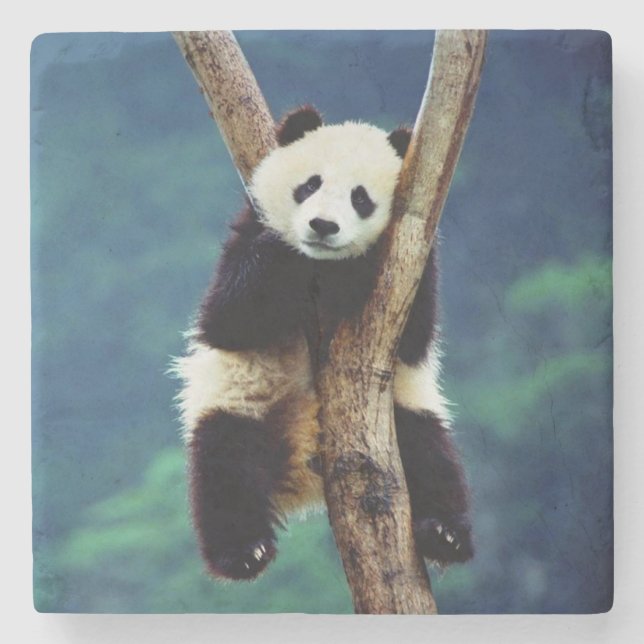 Porta-copo De Pedra Urso Panda (Frente)