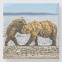 Porta-copo De Pedra Ursos castanhos costeiros