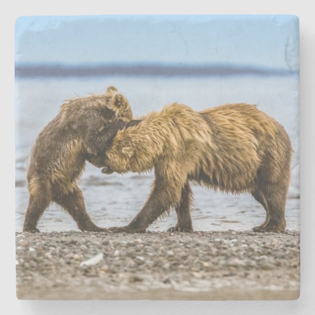 Porta-copo De Pedra Ursos castanhos costeiros (Frente)