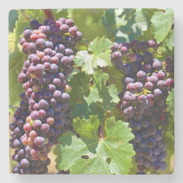 Porta-copo De Pedra Uvas (Frente)