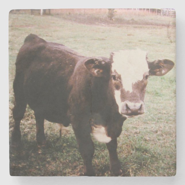 Porta-copo De Pedra Vaca de Creme Castanha (Frente)
