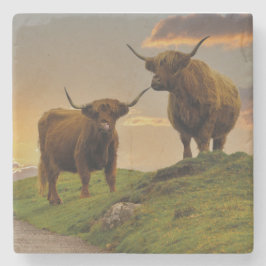 Porta-copo De Pedra Vacas Do Planalto Ao Sol