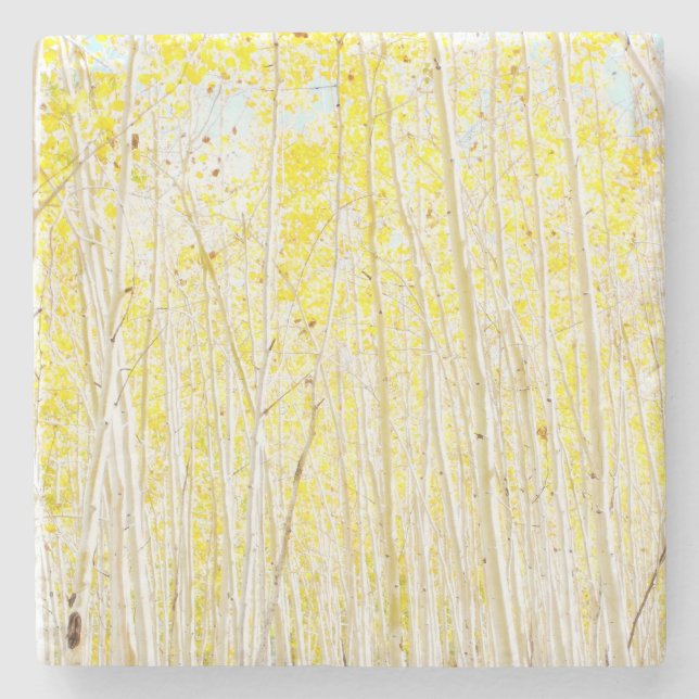 Porta-copo De Pedra Vanilla Cake Aspen (Frente)