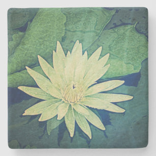 Porta-copo De Pedra Verde da flor do lírio de água