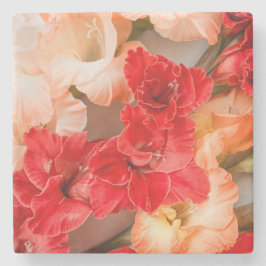 Porta-copo De Pedra Vibrant Gladiolus flowers