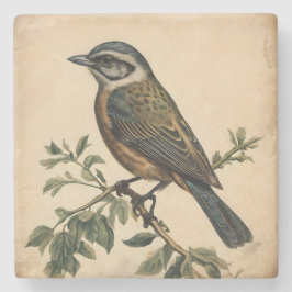 Porta-copo De Pedra Vintage Bird Impressão