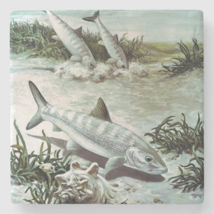 Porta-copo De Pedra Vintage Bonefish Submarino