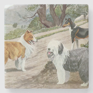 Porta-copo De Pedra Vintage Dog Trio