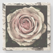 Vintage Pink Rose