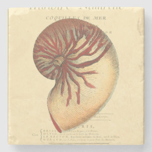 Porta-copo De Pedra Vintage Red Conch Shell