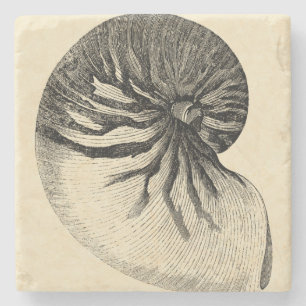 Porta-copo De Pedra Vintage - Shell de Conch Preto e Branco