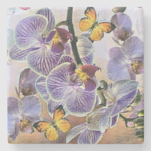 Porta-copo De Pedra Vintage Watercolor Flor Orquídea Púrpura Púrpura C