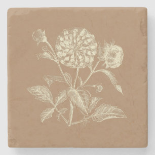 Porta-copo De Pedra Vintage Zinnia Ilustração Marrom