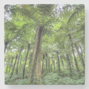 Porta-copo De Pedra Vista da vegetação nos Jardins Botânicos de Bali,