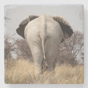 Porta-copo De Pedra Vista traseira do elefante