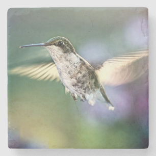 Porta-copo De Pedra Voo de Hummingbird