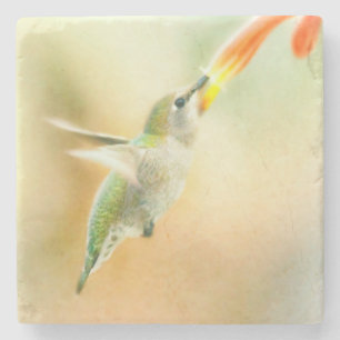 Porta-copo De Pedra Voo de Hummingbird no início da manhã