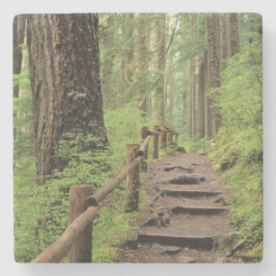 Porta-copo De Pedra WA, Parque Nacional Olímpico, Vale de Sol Duc, flo