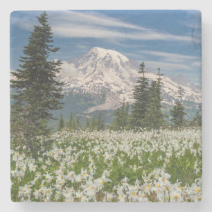Porta-copo De Pedra Washington, Parque Nacional Mount Rainier 1