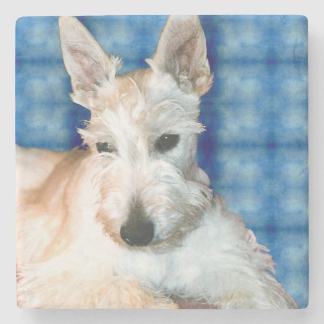 Porta-copo De Pedra Wheaten Scottie Marble Coster (Frente)