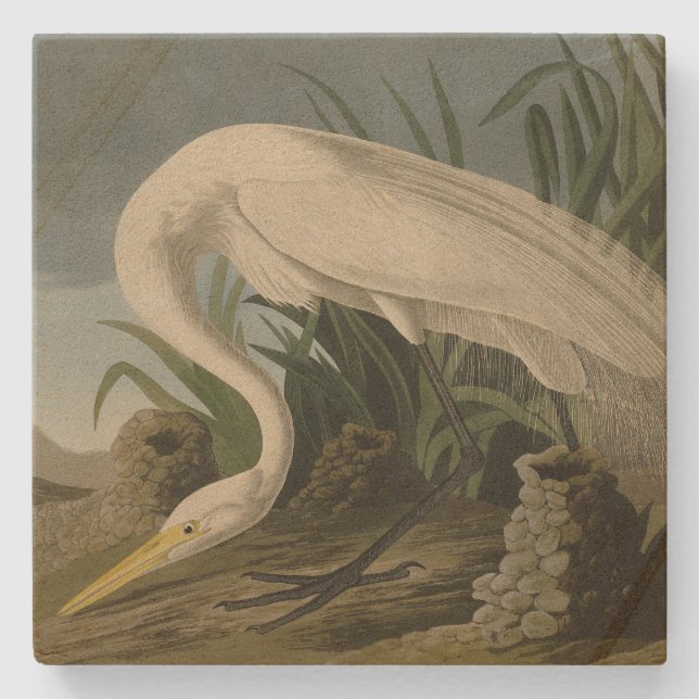 Porta-copo De Pedra White Heron, Egret Excelente, Aves de Audubon da A (Frente)