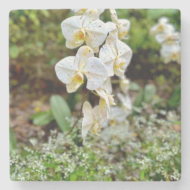 Porta-copo De Pedra White Orchid (Frente)