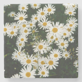 Porta-copo De Pedra White Oxeye Daisy Meadow