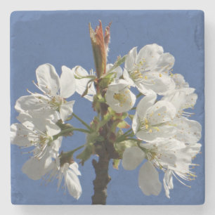 Porta-copo De Pedra White Primavera Bloom