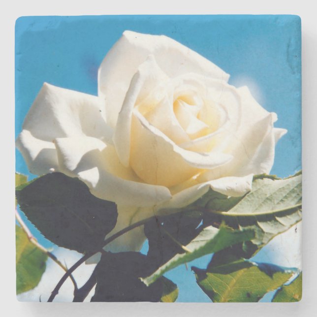 Porta-copo De Pedra White Rose Beauty (Frente)