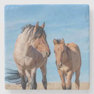 Porta-copo De Pedra Wild Stallion e Wild Mustang Foal