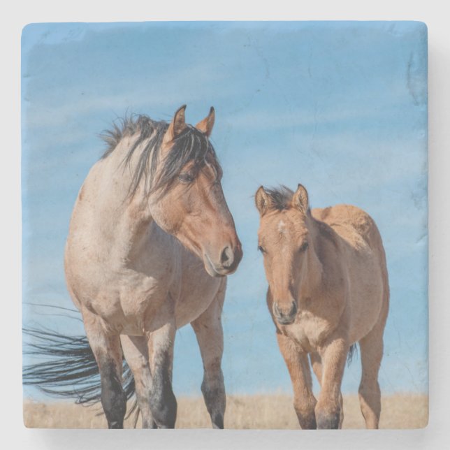 Porta-copo De Pedra Wild Stallion e Wild Mustang Foal (Frente)