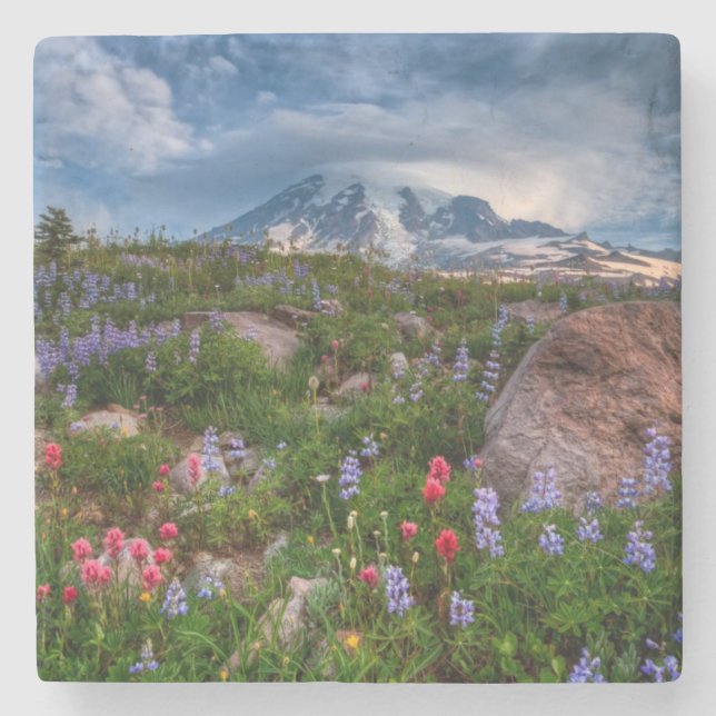 Porta-copo De Pedra Wildflowers (Frente)