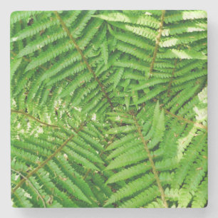 Porta-copo De Pedra Woodland Ferns