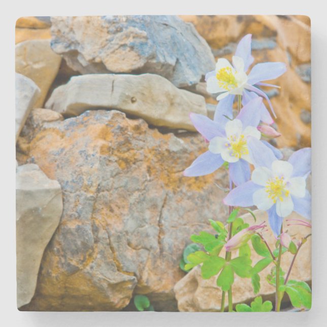 Porta-copo De Pedra Wyoming, Grand Teton National Park 1 (Frente)