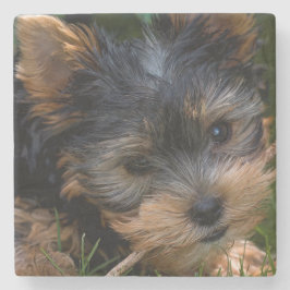 Porta-copo De Pedra Yorkshire