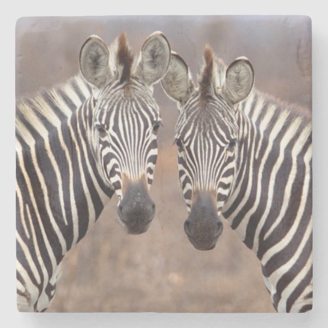 Porta-copo De Pedra Zebras-comuns, Parque Nacional Kruger (Frente)