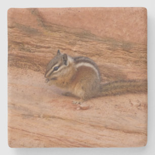 Porta-copo De Pedra Zion Chipmunk em Rochas Vermelhas