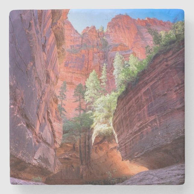 Porta-copo De Pedra Zion National Park, Utah, EUA (Frente)