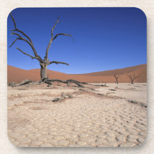 Porta-copo Dead Vlei, Sossusvlei, Parque Nacional Namib-Naukl