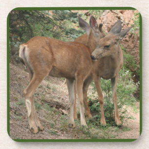 Porta-copo Deer Hugging