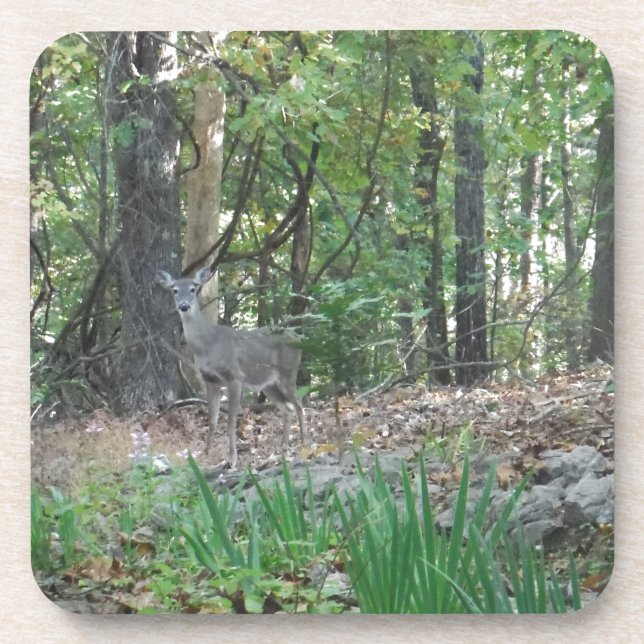 Porta-copo Deer on the Edge of the Woods (Frente)