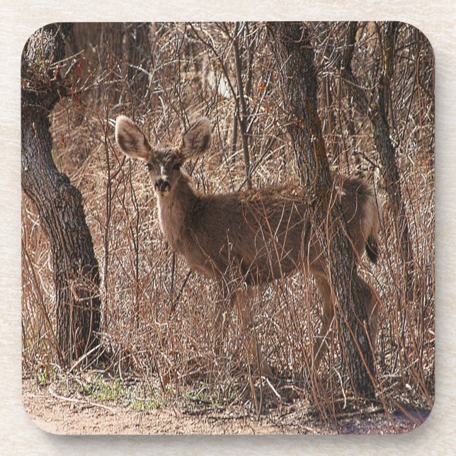 Porta-copo Deer Stare (Frente)