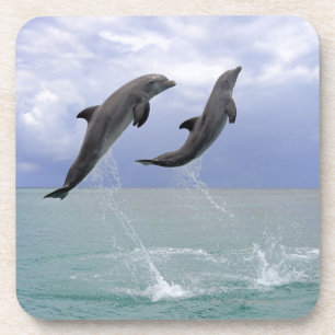 Porta-copo Delfin (Tuemmler mais bruto)