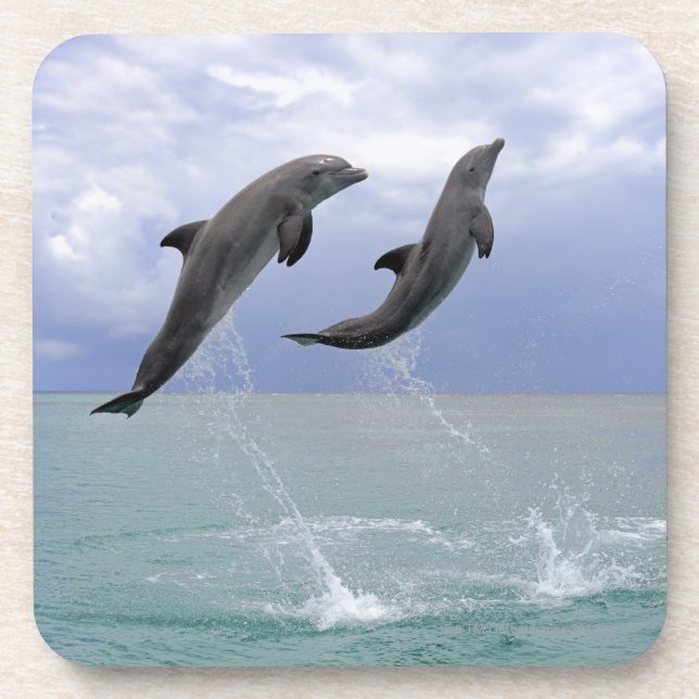 Porta-copo Delfin (Tuemmler mais bruto) (Frente)