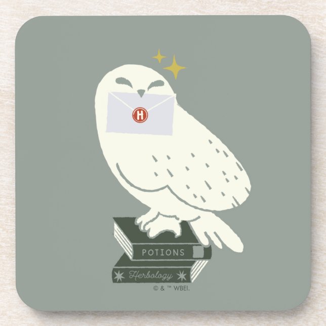 Porta-copo Desenho Caprichoso da Hedwig com Carta (Frente)