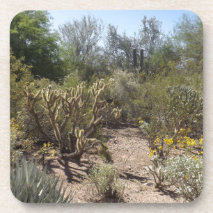 Porta-copo Deserto