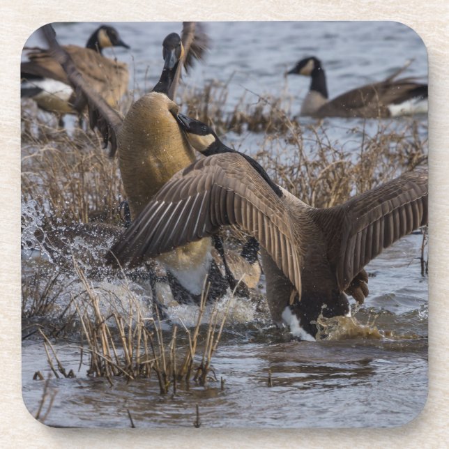 Porta-copo Desligar (Frente)