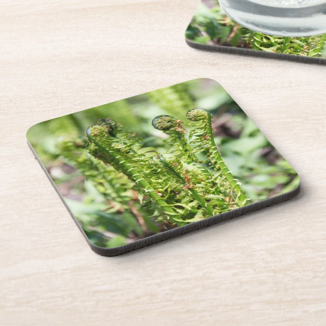 Porta-copo Despertar de samambaia jovem no jardim  (Left Side)